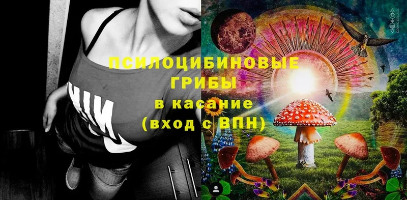 Псилоцибиновые грибы мицелий  где купить   Хабаровск 